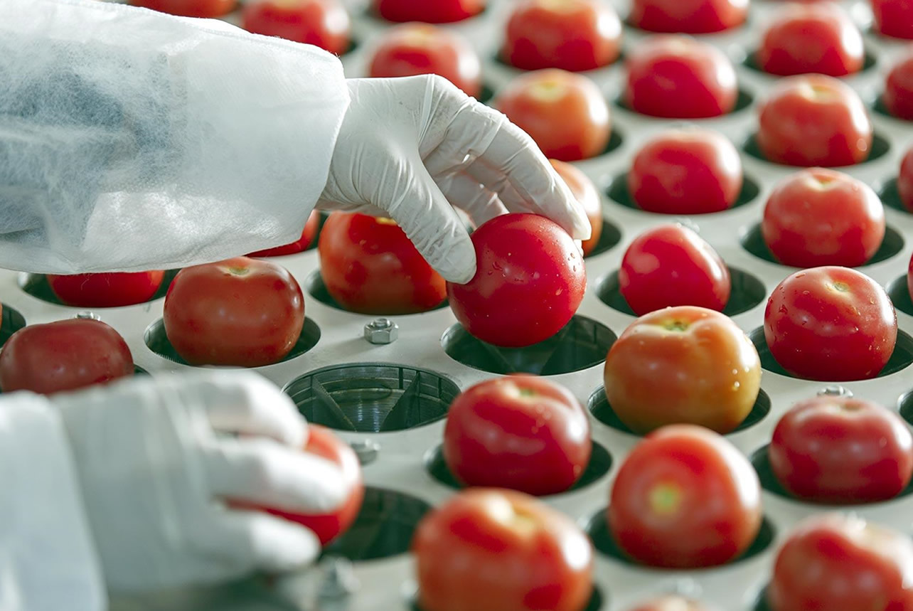 rastreabilidade, produção, indústria alimentar, gestão da produção