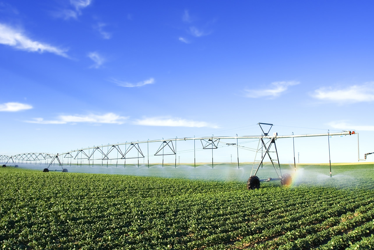agroindústria, agro-indústria, agroindustria, flow m, flow manufacturing, digitalização, software gestão industrial, software gestão produção