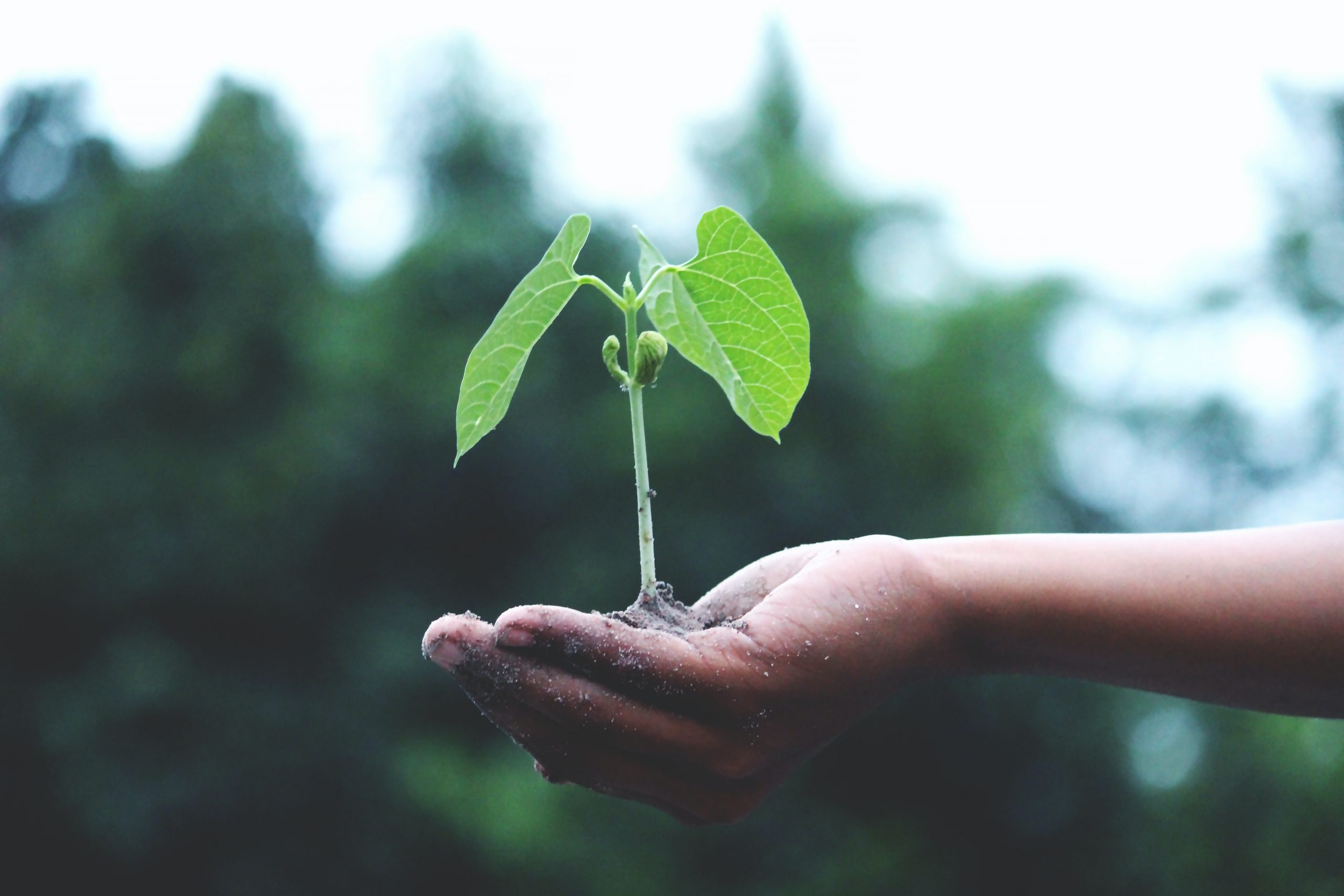 indústria transformadora, triple bottom line, sustentabilidade, objetivos de desenvolvimento sustentável, esg, environmental social and governance