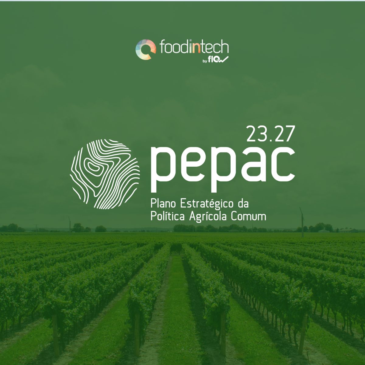 PEPAC 2030